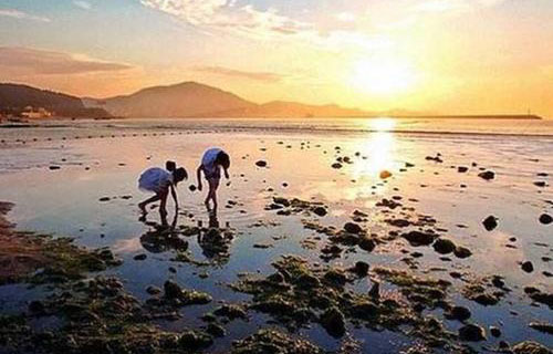  朝阳市文化艺术学校