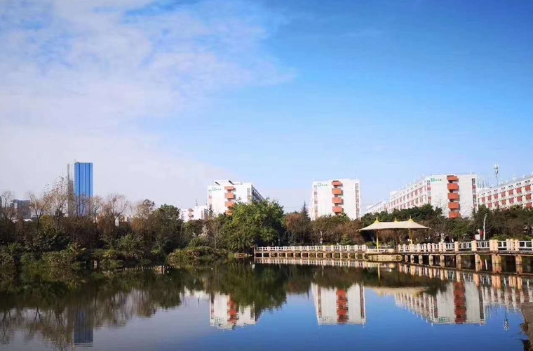 动物科学(高起本) 动物科学(高起本)