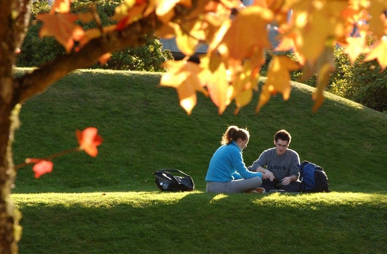 粮油储运与检验技术 粮油储运与检验技术