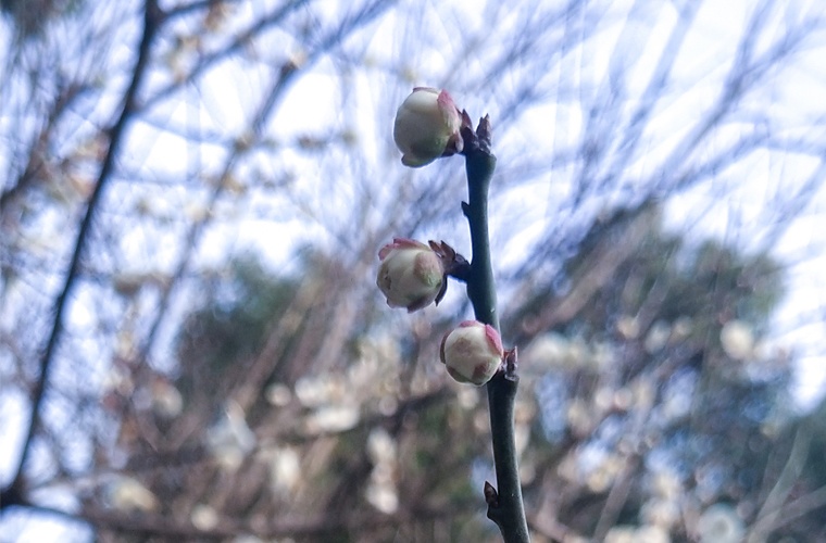 经济学（高起本）