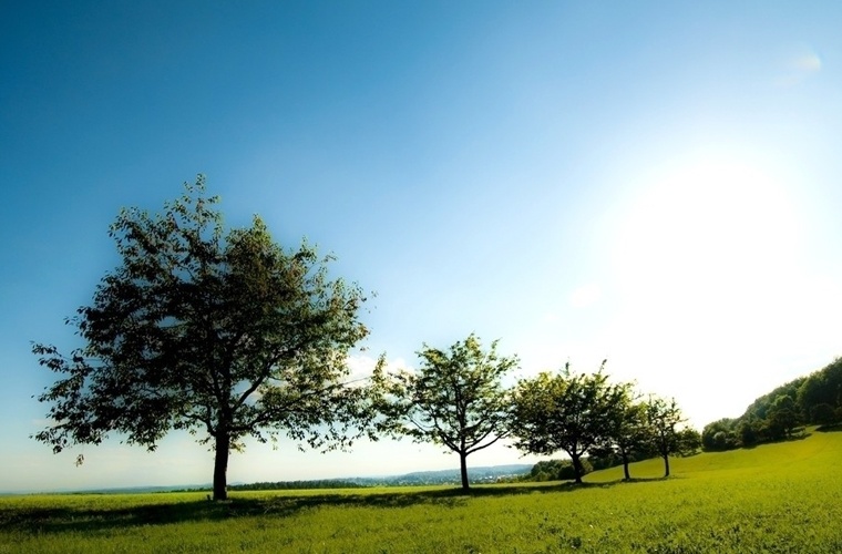 城市轨道交通工程技术