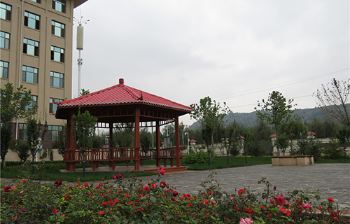  盘锦市石化技校