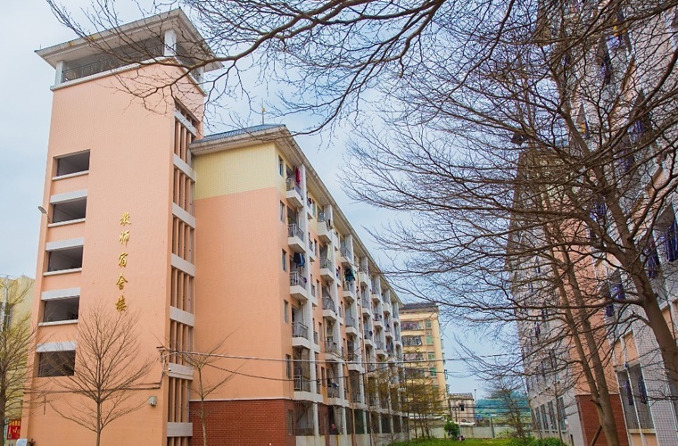 小学教育（高升专）