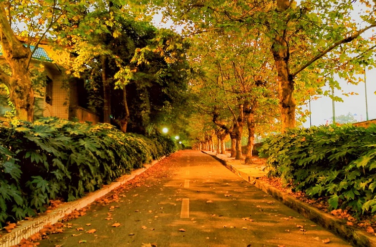 火电厂热工仪表安装与检修