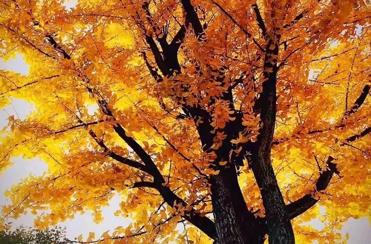 资源勘查工程（高起本）