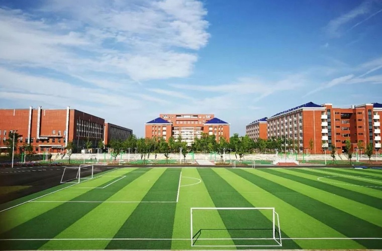 维医医疗与维药