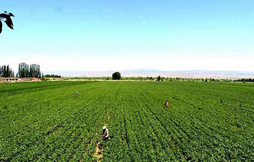  山西省农业广播电视学校