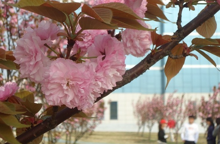 机电产品检测技术应用