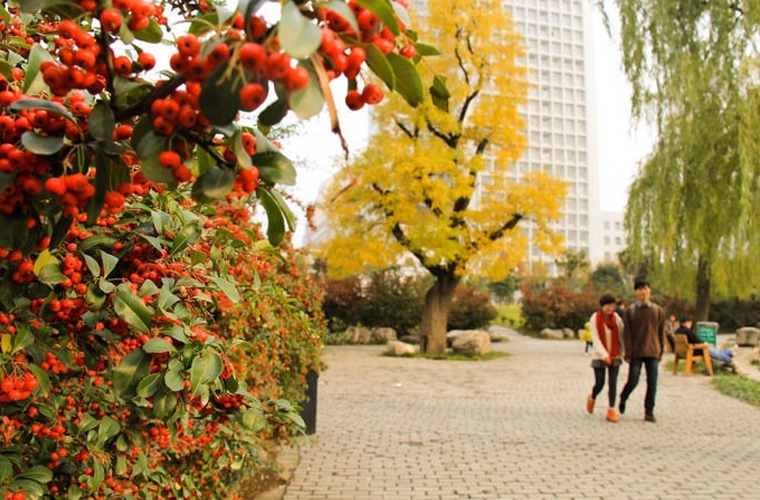 动漫制作技术（高升专）