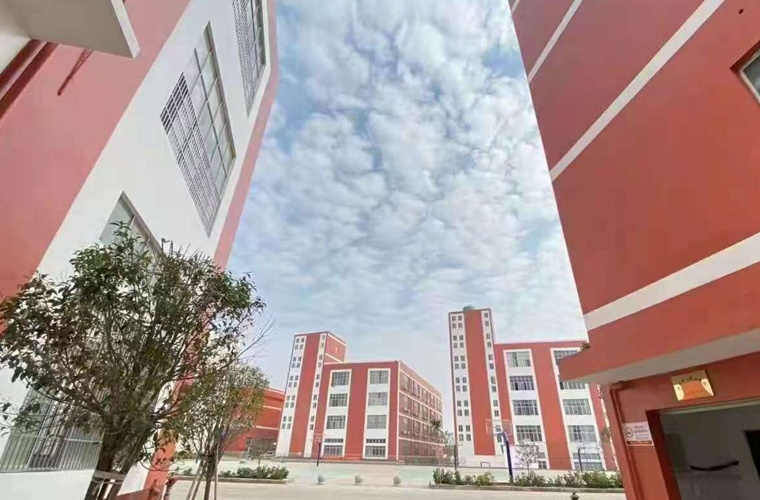 心理咨询（高升专）