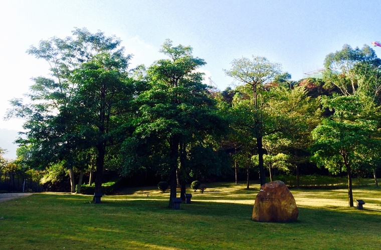 化学（专升本）