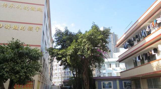  南宁中南理工职业技术学校