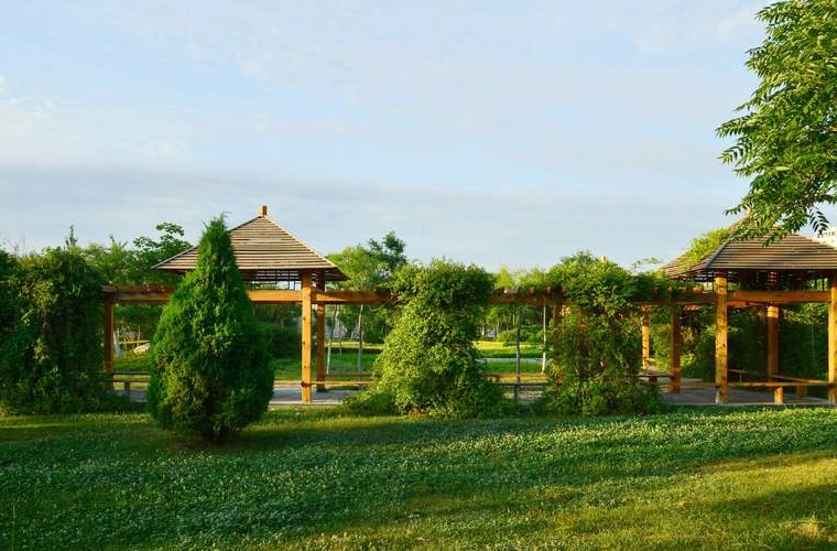 汽车技术服务与营销（高升专）