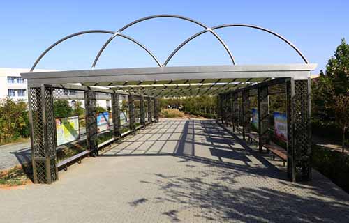  枞阳县高级职业中学