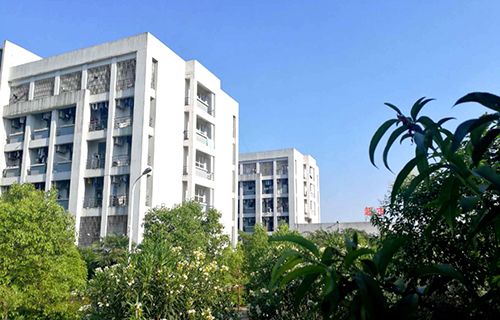  合肥科技职业学校