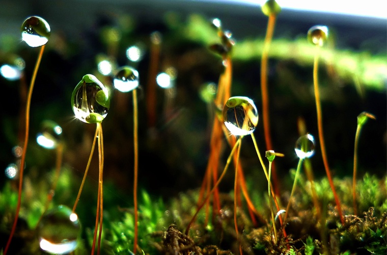 火电厂热工仪表安装与检修