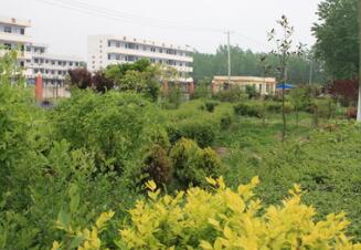  东海职业教育中心校