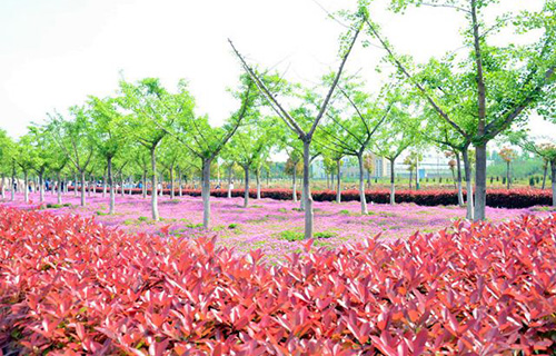  鹤岗市工商职业技术学校