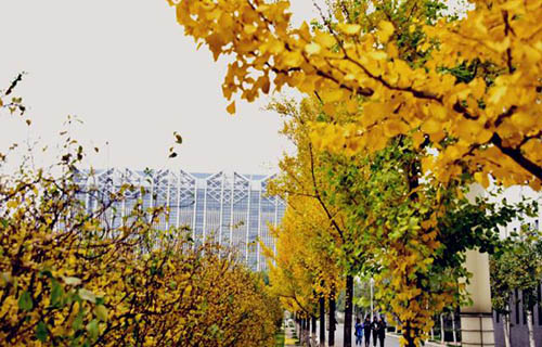  察布查尔锡伯自治县职业中学