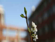 菏泽市第二职业高中