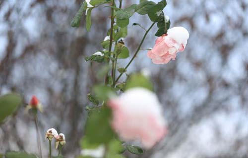  伊春市职业技术教育中心学校