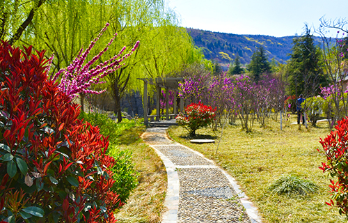  山东省安装工程技工学校