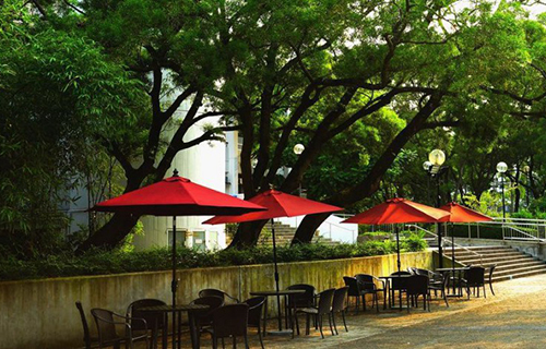  乌鲁木齐航空学校