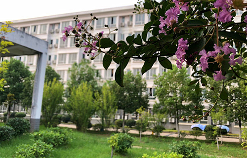  乌鲁木齐市交通技工学校