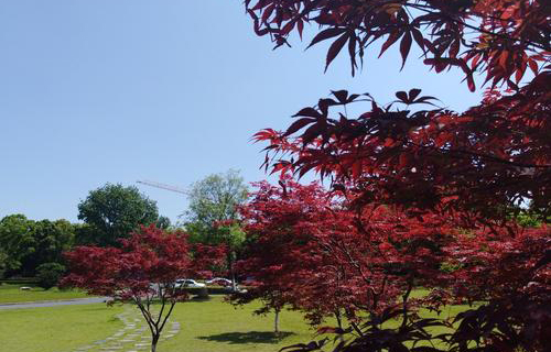  民丰县职业高中