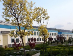 蒙阴县职工中等专业学校