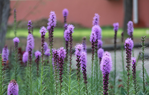  荣成市职业中等专业学校