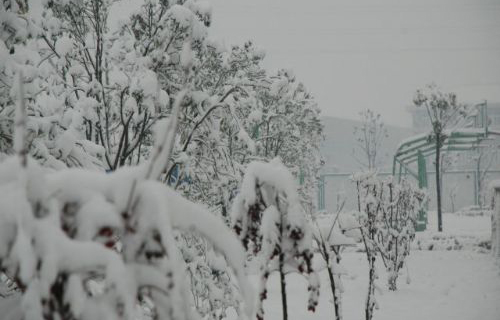  潍坊市寒亭区技工学校
