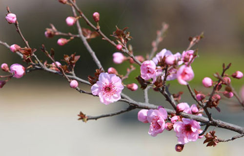  平度第三职业高中