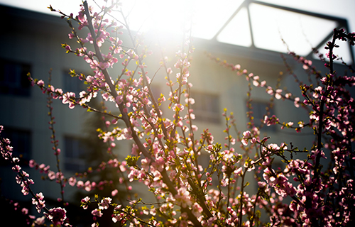  乌鲁木齐市建平职业技术学校