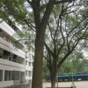 自贡市第二十九中学