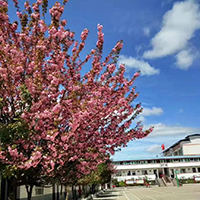  攀枝花技师学院介绍简章专业学费招生简介