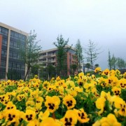  四川工商汽车学院眉山校区