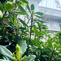  攀枝花商贸电子职业技术学校介绍简章专业学费招生简介