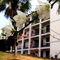  攀枝花市建筑工程学校介绍简章专业学费招生简介