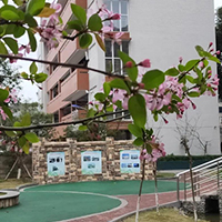  眉山艺术教育培训学校眉山招生简介