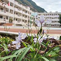  梓潼七一高级职业中学校招生简介