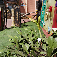  攀枝花马家田技术学院招生简介