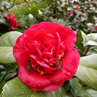  四川省米易中学招生简介