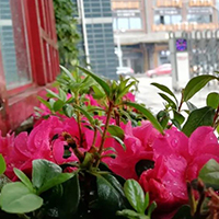  资阳艺术教育培训学校资阳招生简介