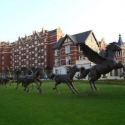  成都航空旅游职业学校航空空乘