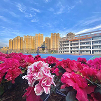  成都福莱哆乐器城-福莱哆乐器城成都锦江店招生简介