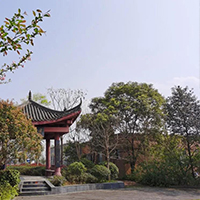  新鸣乐琵琶培训-青羊区新鸣乐技能培训工作室招生简介