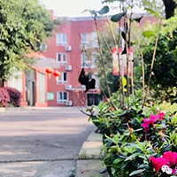  成都钢琴私塾-成都钢琴私塾招生简介