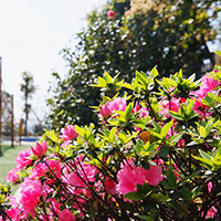  成都酌乐艺术培训-成都酌乐艺术培训招生简介