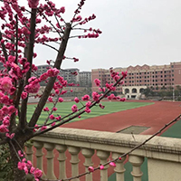  华夏艺术学校-华夏古筝艺术学校招生简介